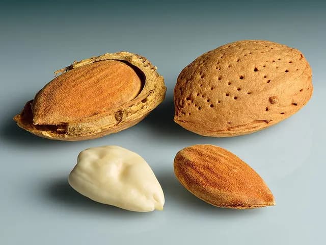 Almonds, is it keto?