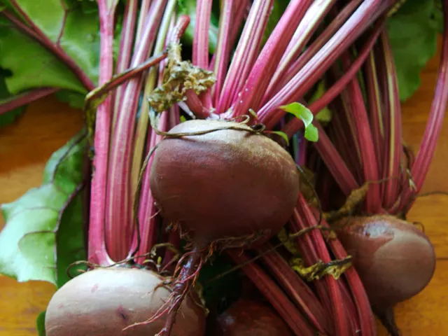 Beets, is it keto?