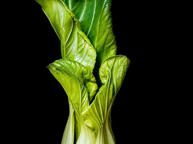 Bok Choy, is it keto?