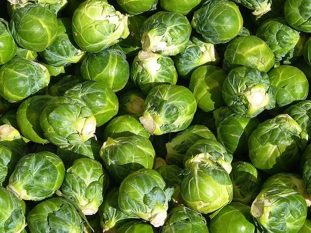 Brussels Sprouts, is it keto?