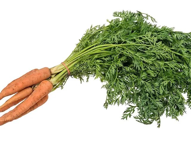 Carrot, is it keto?