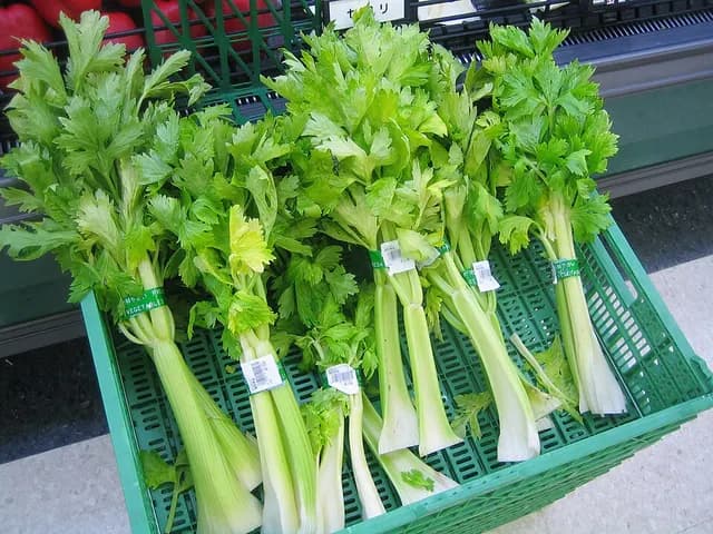 Celery, is it keto?