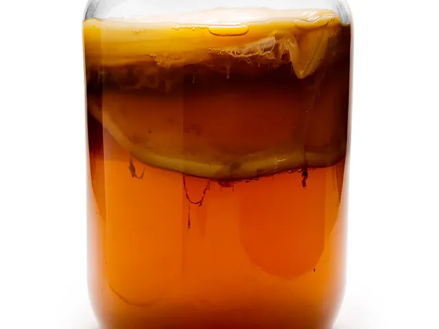 Kombucha, is it keto?