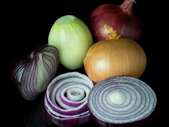 Onion, is it keto?