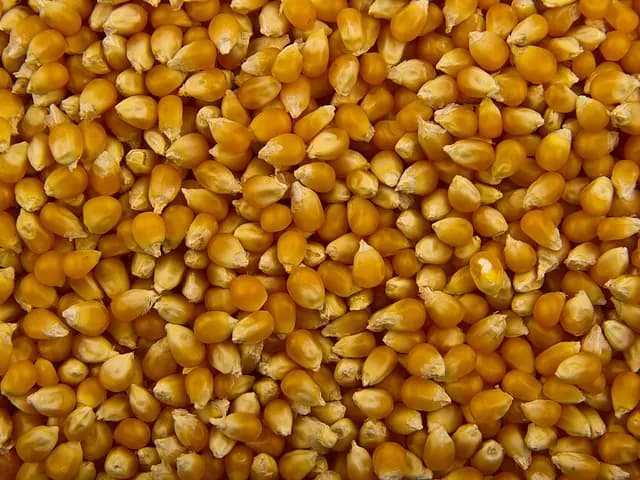 Popcorn (air-popped), is it keto?