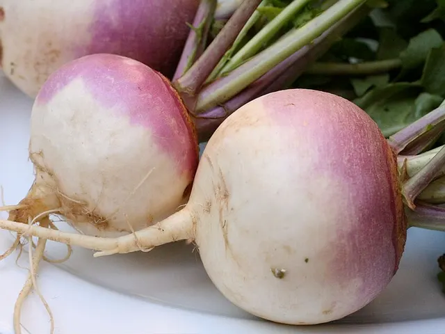 Turnip, is it keto?