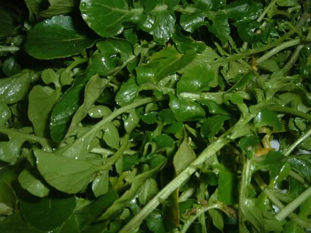 Watercress, is it keto?