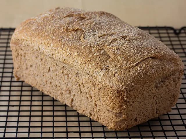 Whole Wheat Bread, is it keto?