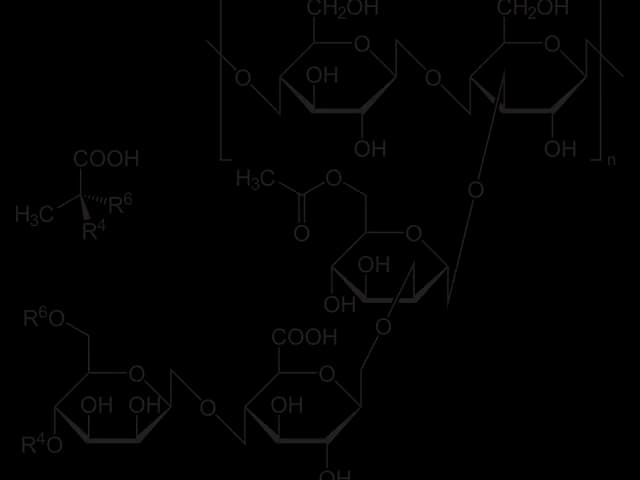 Xanthan Gum, is it keto?